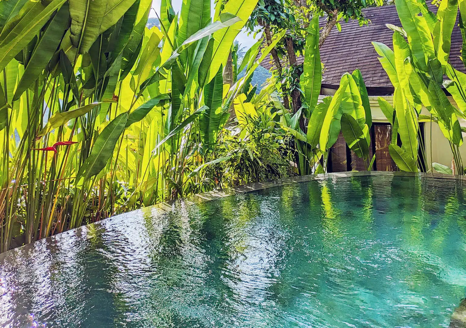 Tropicana Spa