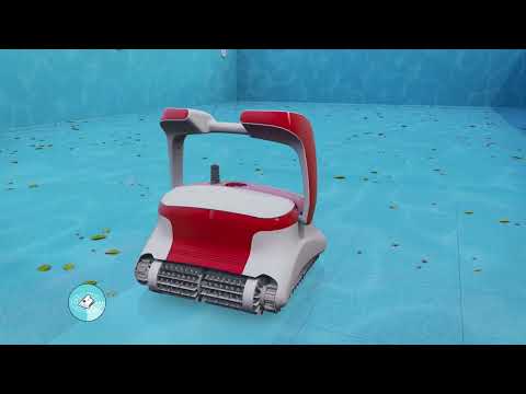 Dolphin Active X3